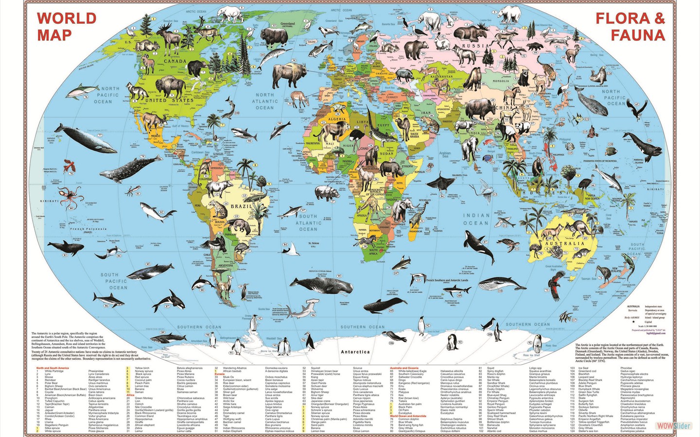 World Flora & Fauna